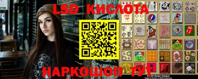 бошки Новодвинск
