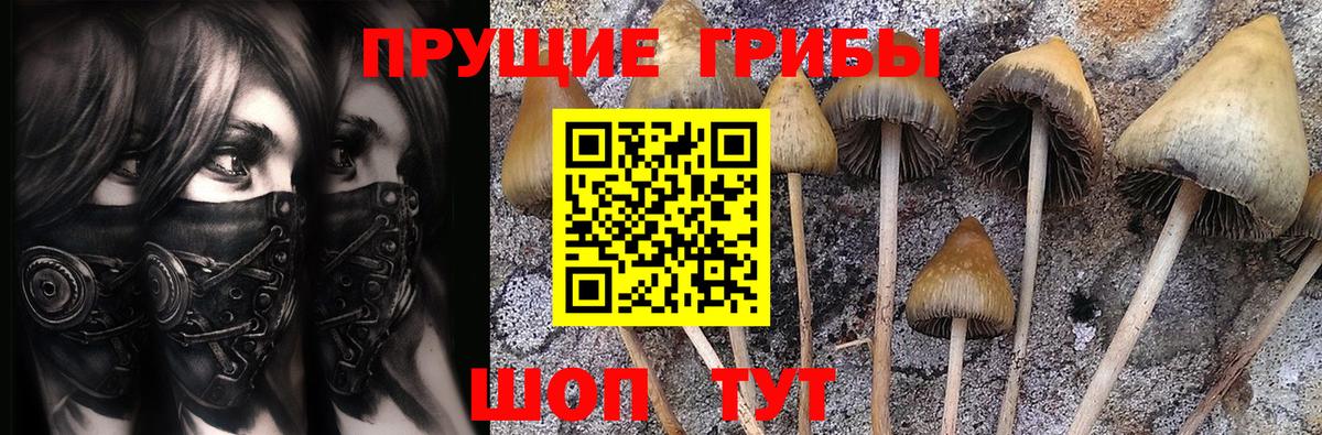 Тайшет  Галлюциногенные грибы мухоморы  Вход с VPN 
