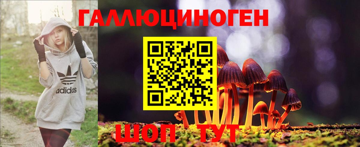 Псилоцибиновые грибы ЛСД Тайшет